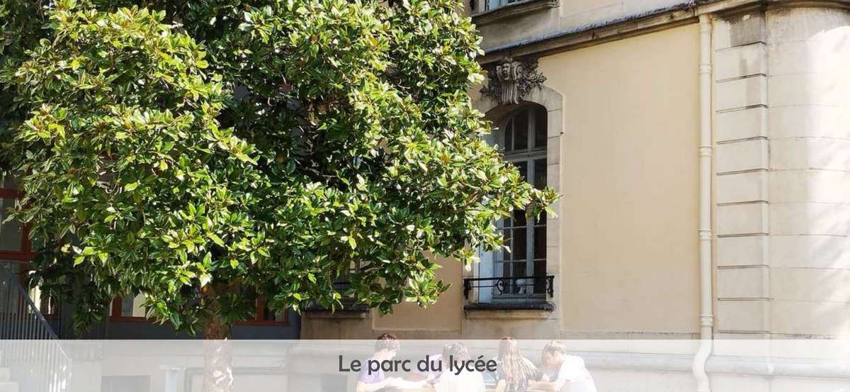 Le parc du lyc�e
 - 