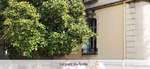 Le parc du lyc�e
 - 