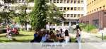 Le parc du lyce
 - 