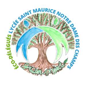 Nettoyage du canal de la  Martinette