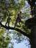Journ�e d'int�gration pour les 3�me et 2de